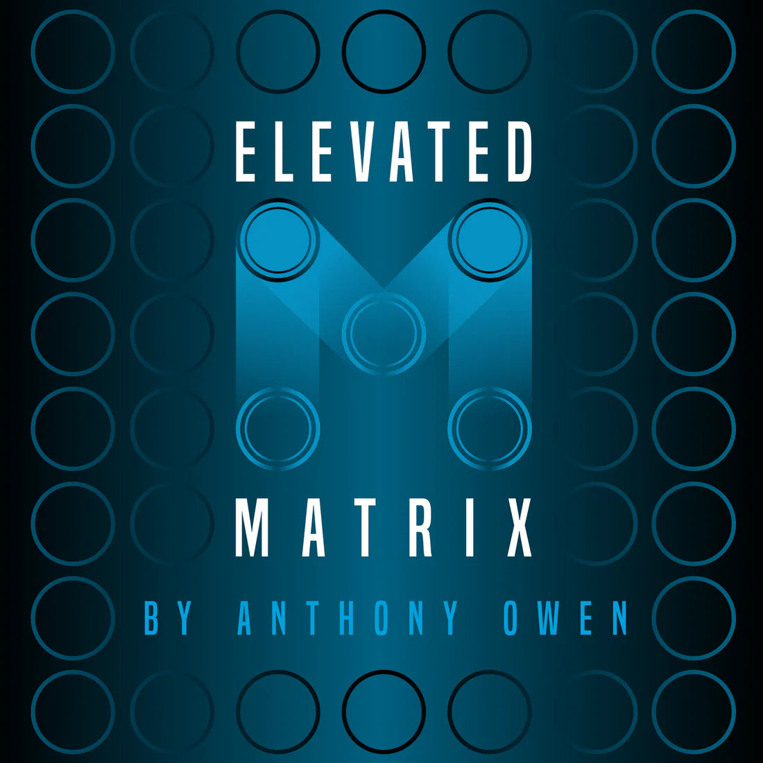 Elevated Matrix by Anthony Owen