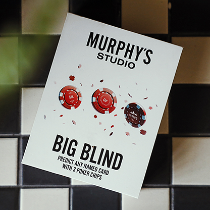 The image shows a promotional booklet for 'The Big Blind' by Craig Petty, placed on a surface with a checkered pattern. The booklet features the title and a graphic of three poker chips on the cover.