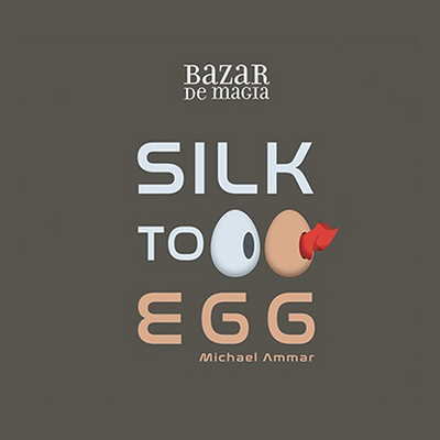 Silk to gg Bazar De Magia