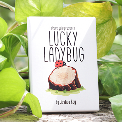 Lucky Ladybug magic trick.