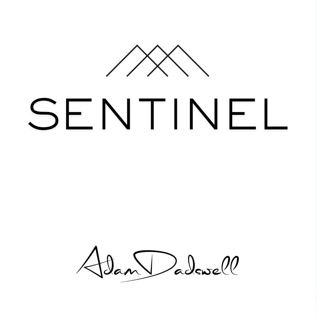 Sentinel by adam dadswell magic