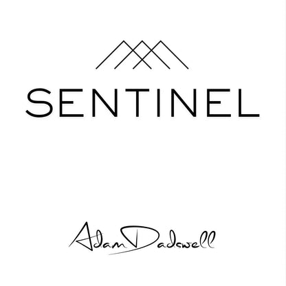 Sentinel by adam dadswell magic
